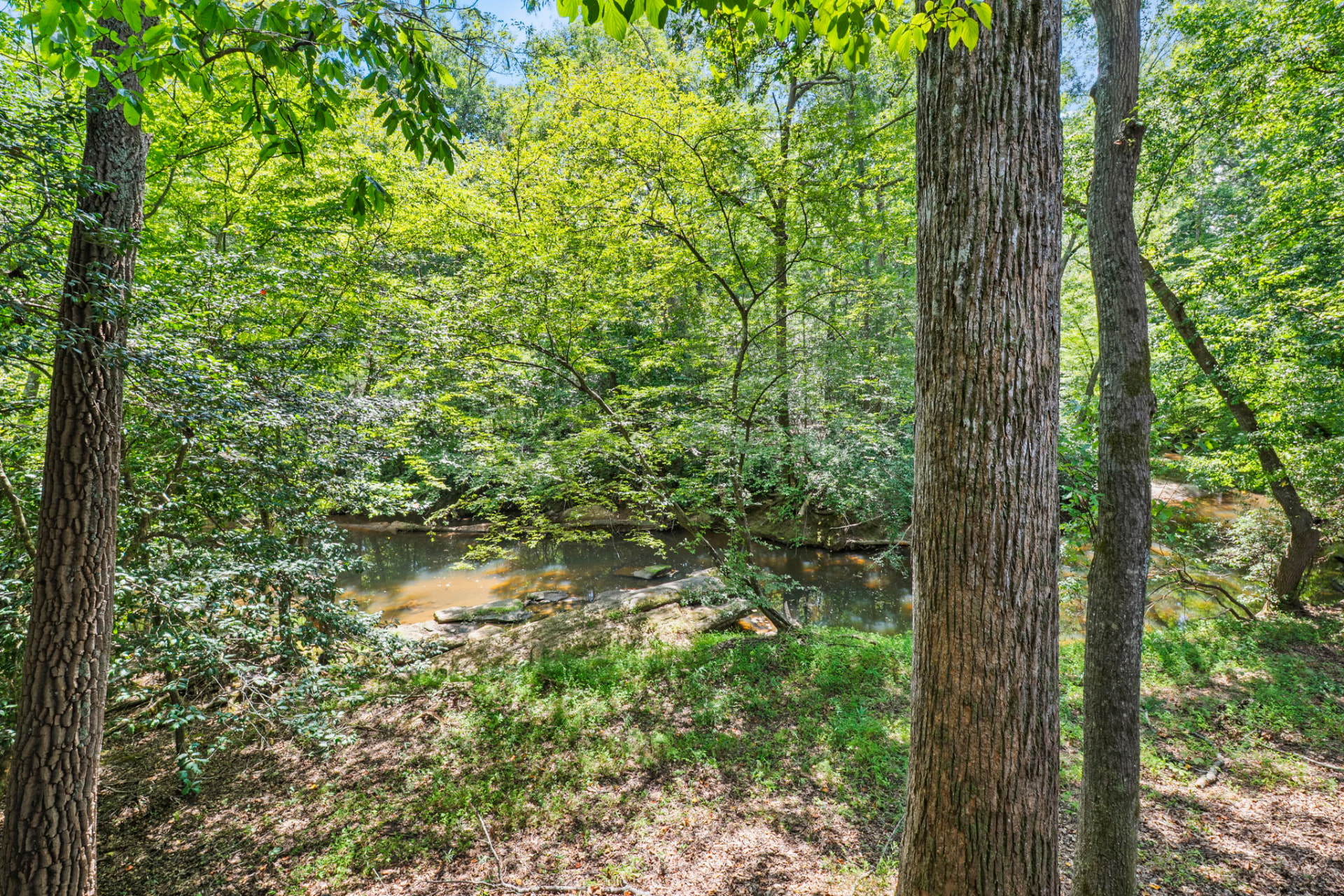 105 Wolf Run Dr — photo 48